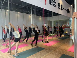 勁爆好消息！胡楊舞蹈周年特惠，僅198元體驗(yàn)舞蹈魅力！